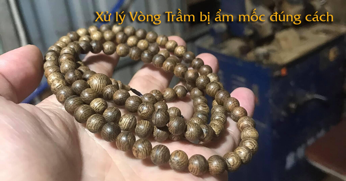 Xử lý Vòng Trầm bị ẩm mốc đúng cách